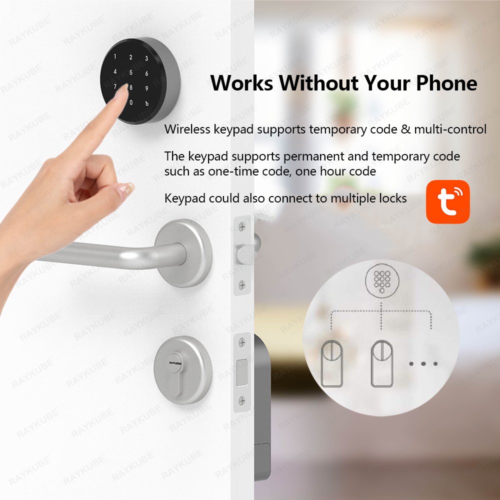 RAYKUBE A1 Pro Tuya BEL スマート電子 - Smart Door Lock Wifi のレビューと価格