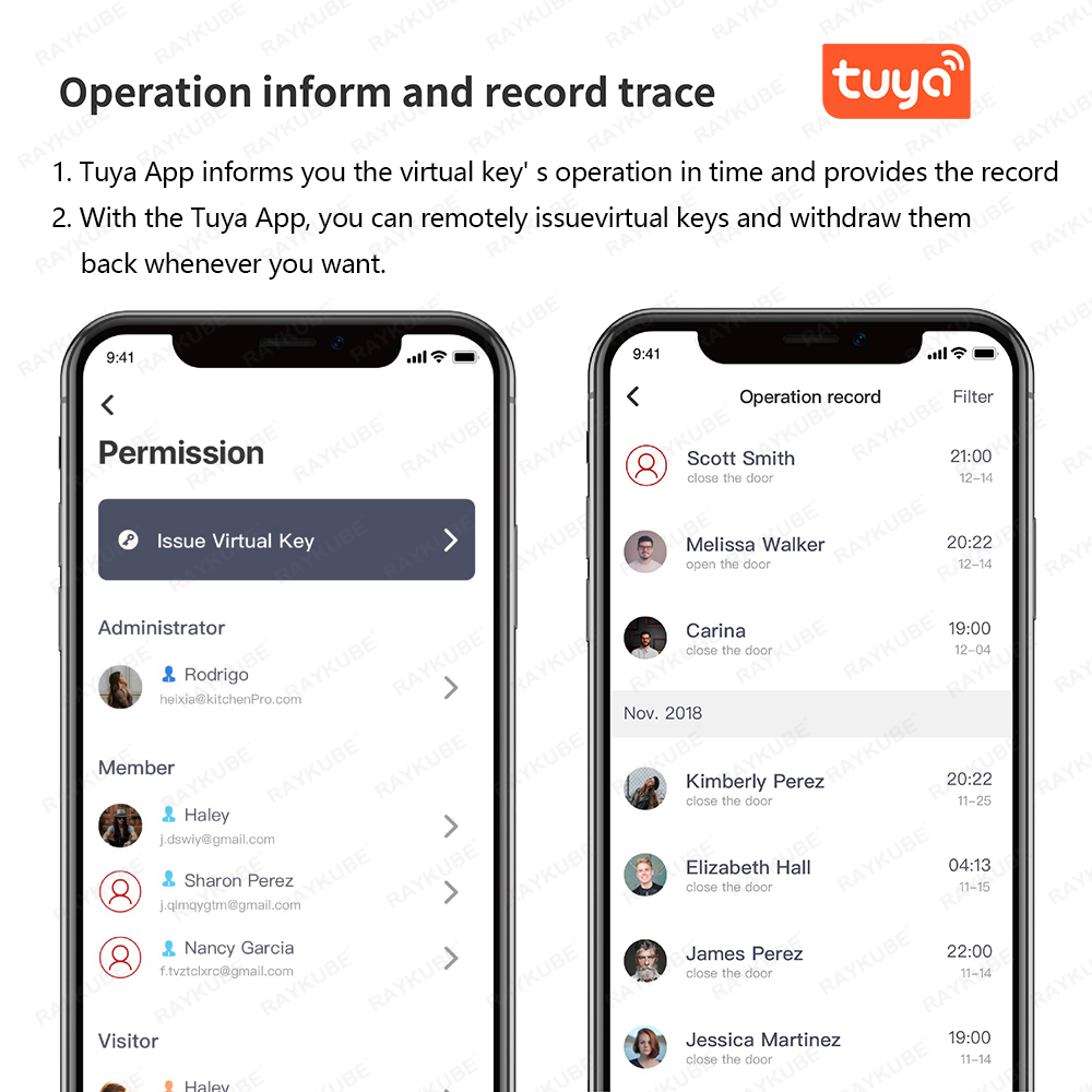 RAYKUBE A1 Pro Tuya BEL スマートドア - Smart Door Lock Wifi のレビューと価格