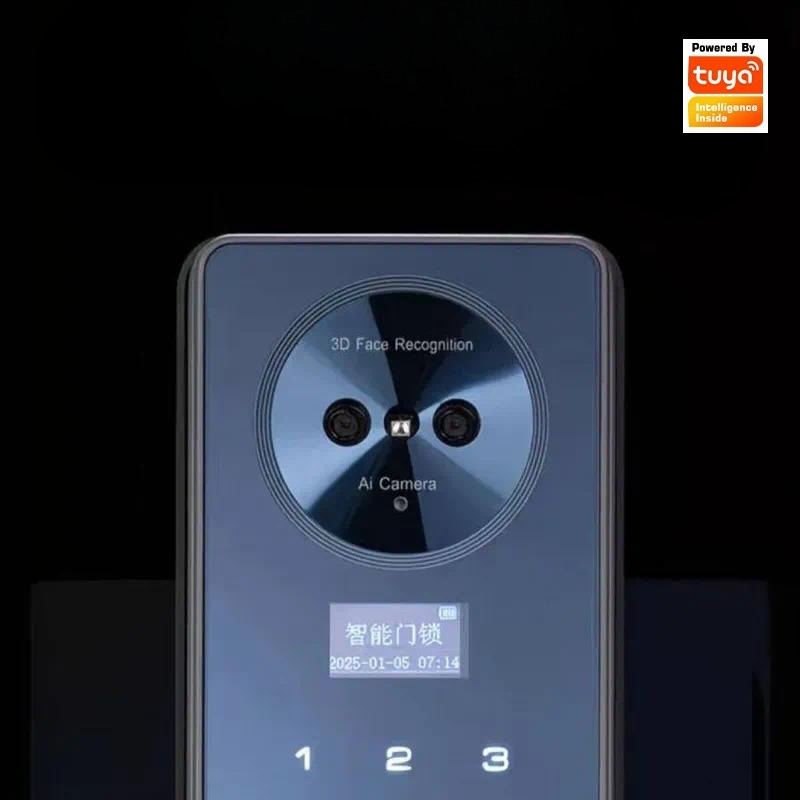 スマートロック、顔認識、自動開錠、家庭用、手のひら静脈認証、 - Smart Door Lock Wifi のレビューと価格