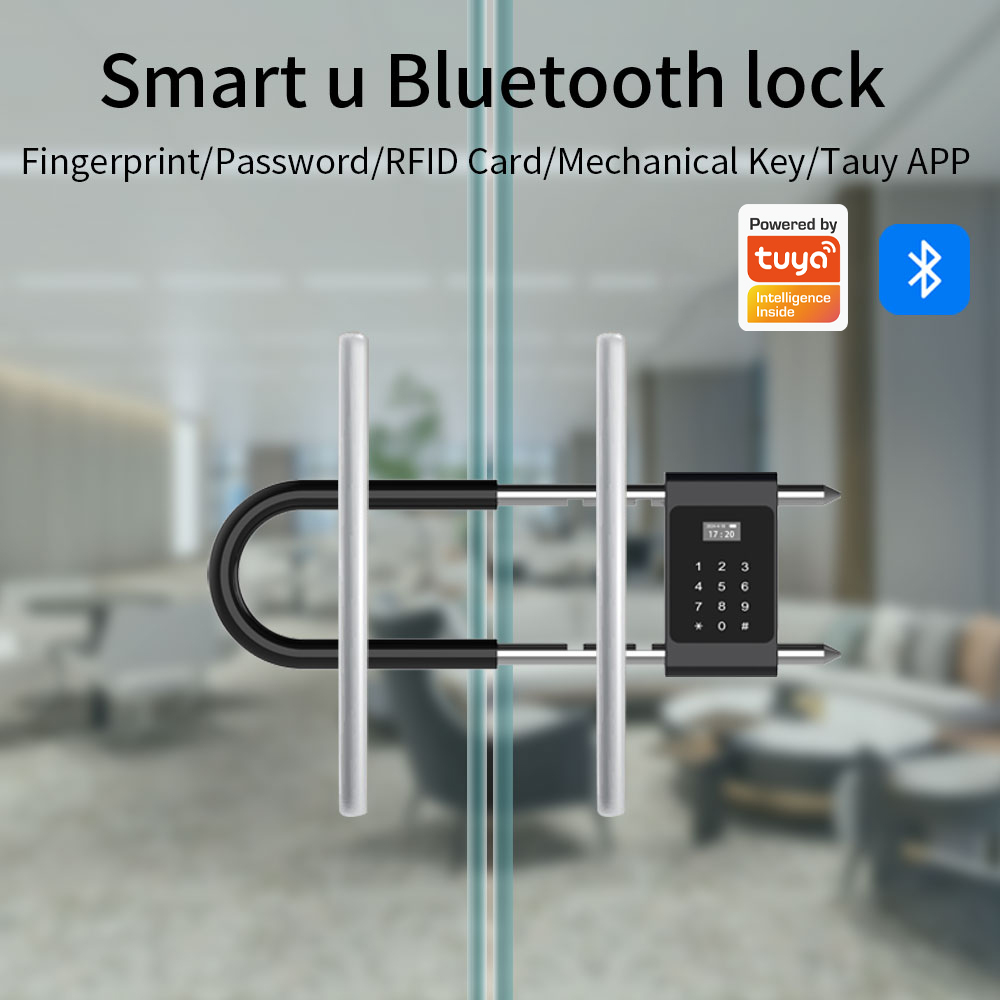 電子生体認証指紋ロックサポート Tuya APP 制御 Bl - Smart Door Lock Wifi のレビューと価格